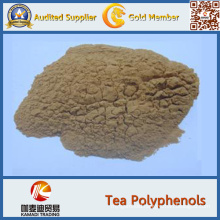 Best Price Natural Green Tea Extract Green Tea Polyphenols